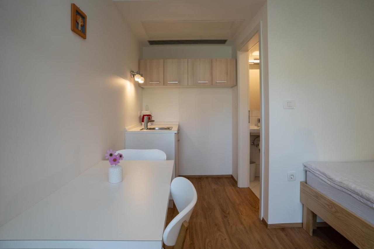 Accommodation Baron Ljubljana Ngoại thất bức ảnh